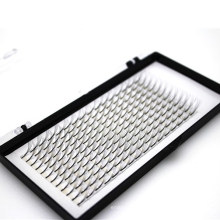 0.05 Thickness 16 Lines 3D/5D Professional Hand Made Faux Mink Individual Eyelashes